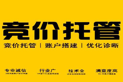 音乐会宣传中的SEM托管服务：成功背后的秘密